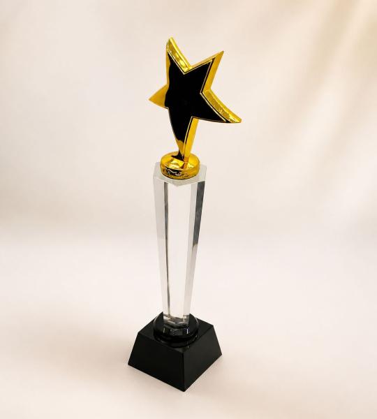 Crystal Star Trophy