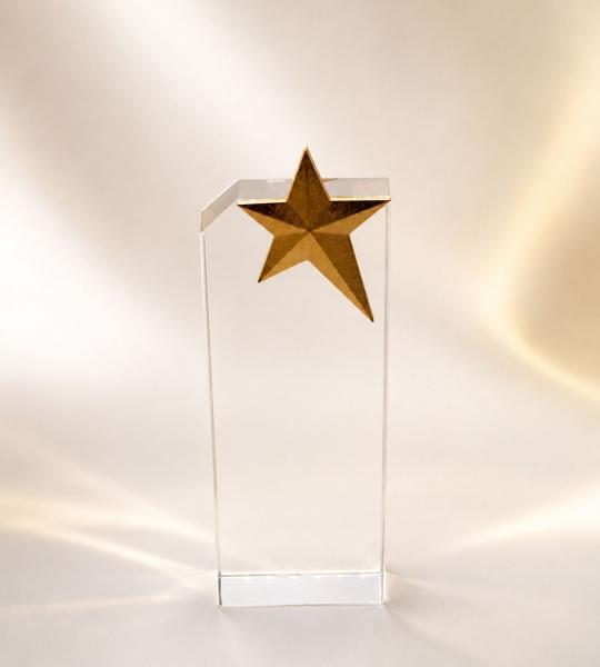 Horizon Star Crystal Award