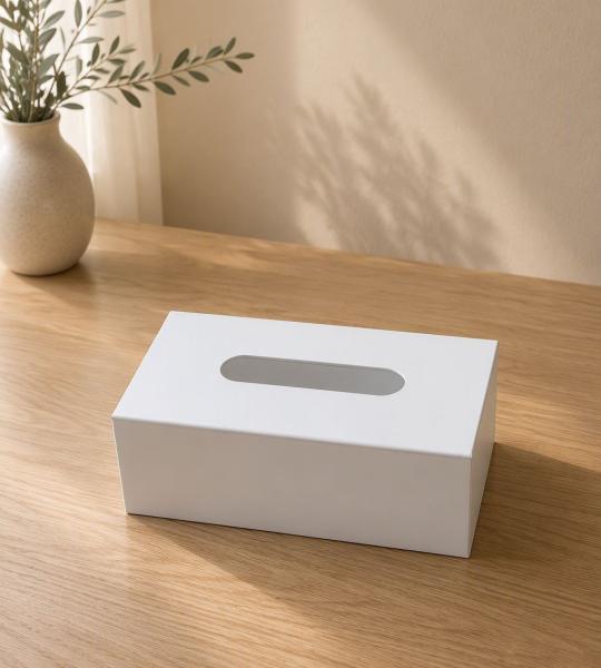 Modern Acrylic Tissue Box with Side Drawer